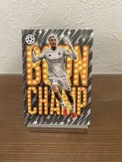 Item thumbnail for item 6670b2f4-8d4f-4644-8493-5a08d949e8e1