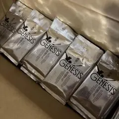BBM 2025 GENESIS ジェネシス 未開封パック50