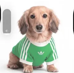 新品 adidas 犬服 ペット レアルマドリード ドッグウェア - メルカリ