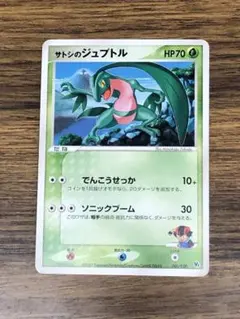 サトシのジュプトル　001/020