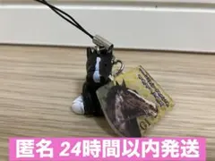 限定値下げ！アイドルホースミニコレクション　イクイノックス＋母シャトーブランシュ 2026年最新】アイドルホースミニコレクション イクイノックスの人気