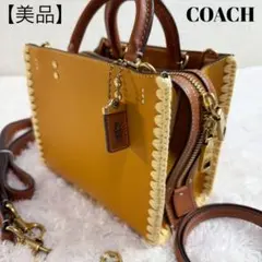【美品】 コーチ ショルダーバッグ ローグ20 クロシェ