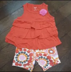 Carter's セットアップ