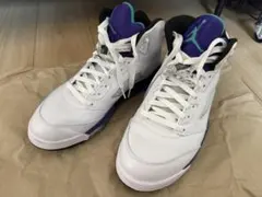 NIKE エアジョーダン5 グレープ 2025 27cmのサムネイル