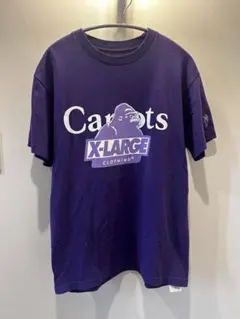 Item thumbnail for item c4dba22a-1cae-40e3-b47f-a8287df4220f