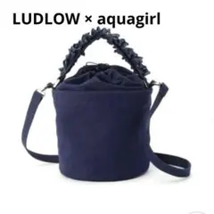 LUDLOW　ラドロー　アクアガール 別注 ワンハンドルバッグ ネイビーのサムネイル