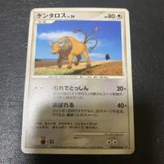 ポケモンカード ケンタロス LV.26