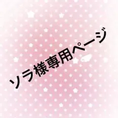 ソラ様専用ページ
