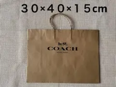 ☆ ＣＯＡＣＨ　ショップ紙袋のサムネイル
