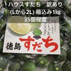ハウススダチ(二級品)正味1.2kg超 - メルカリ