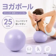 パープルヨガボール25cmミニバランスボール体幹トレーニングストレッチ家庭用のサムネイル