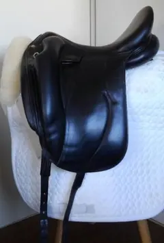 Item thumbnail for item d3d978e9-5ed7-40ed-ab54-cc7c934a1b8a