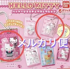 HELLO KITTY パッケージミニチュアコレクション ２個セット