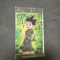 ハンターハンター　イタジャガ　ゴン