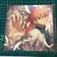Fate FGO ソロモン アニメイト フェア 特典 クリアカード ロマニ