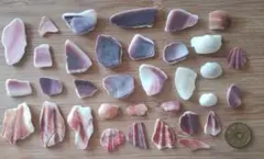 貝殻 かけら 破片 紫 ピンク 白 オレンジ系 ハンドメイド素材 工作材料