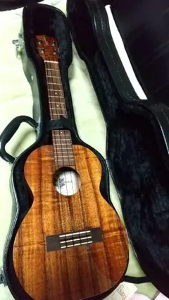 Item thumbnail for item 7b3e7f8f-d74a-4a0a-984e-76cab68bcd27