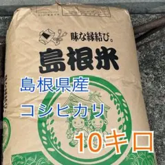 兵庫県丹波市産！ 令和7年産 農薬不使用 コシヒカリ玄米10kg - メルカリ