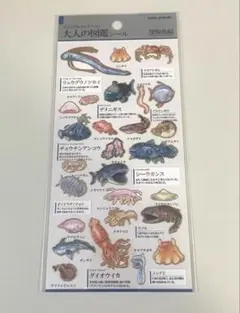 り様 リクエスト 8点 まとめ商品