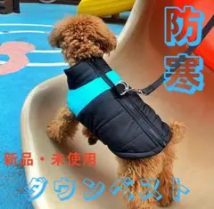 Item thumbnail for item ceb7186a-65ca-45c5-95ab-bfec0b89ce87