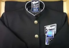 Item thumbnail for item 6df4364f-5901-4f8f-9178-d7a473c34e8e