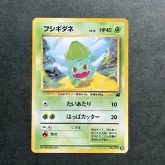 旧裏 フシギダネ イントロパック