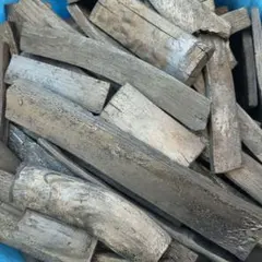 Item thumbnail for item 55c17ecd-4b88-44f4-ba11-7a7e01ec1b9e