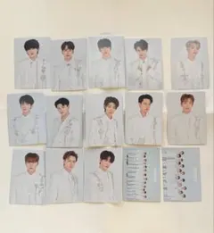 セブチ　トレカ　セット