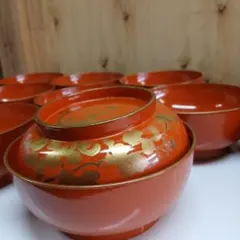 漆器　輪島塗　本蒔絵磨出金彩　木製　蓋付椀　お煮物椀　吸物椀　5客 Amazon.co.jp: 漆器 輪島塗 沈金 金蒔絵 波に鳥文 木製 蓋付椀 お煮物