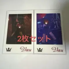 KnightA ばぁうくん フォトカ 2枚 騎士A 騎士X KnightX