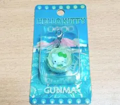 2025年最新】群馬限定キャベツキティの人気アイテム - メルカリ