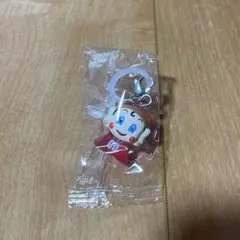 B.LEAGUE マスコット めじるしアクセサリー２　まいどくん