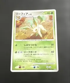 2026年最新】リーフィアLvの人気アイテム - メルカリ