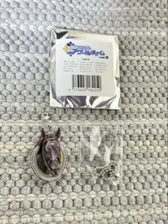 つながるアクリルチャーム マイネルグロン