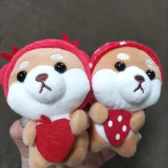 Item thumbnail for item bde06c3c-7554-419f-94ab-023aced1f9e7