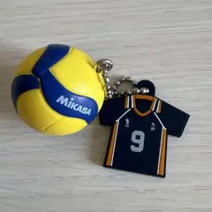 ハイキュー MIKASA コラボ ダブルスイング 影山飛雄