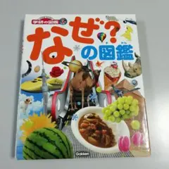 Item thumbnail for item 19091449-f014-4fb5-8b50-0d90d1eb184b