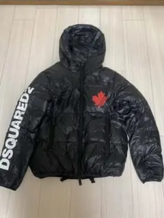 Item thumbnail for item 5bf928fe-e116-44dc-a9bf-915134cdaa76