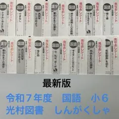 カラーテスト6年生国語　未記入　R7年度版 カラーテスト 小学6年生 国語 - メルカリ