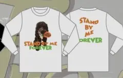 【新品】THE FOREVER YOUNG Tシャツ ロンT グレー エバヤン