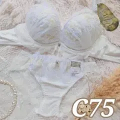 №1579【C75】ルミナスティアラレースブラジャー＆バック透けショーツ