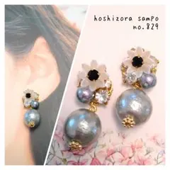 ✴no.829✴　ハンドメイドピアス・イヤリング
