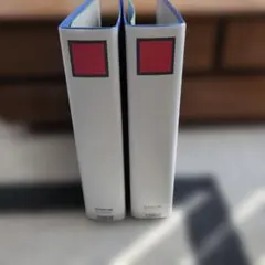 Item thumbnail for item 8f313e0c-e698-489b-8d92-be23a78a4c4a