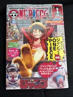 ONE PIECE CARD GAME 20号　未開封カード付き