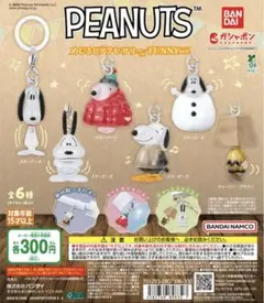 PEANUTSめじるしアクセサリー 2点セット