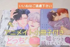 ※アニメイト小冊子付き　『愛の温度を教えてよ/アンチボーイフレンド』