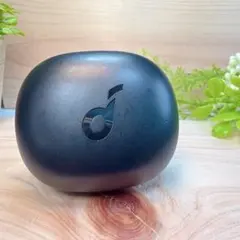 ANKER Soundcore Life P3ケースのみ