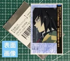 鬼滅の刃　兄弟の絆　両面チェキ風ブロマイド ランダム 冨岡義勇　炭治郎　レア