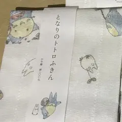 Item thumbnail for item 36363c5b-9166-422e-8ff5-5de783af372a