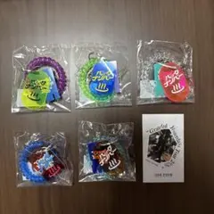 最安値　back number 会場限定　サウナキー　コンプリートセット 未使用】back number サウナキー 5種セット - メルカリ